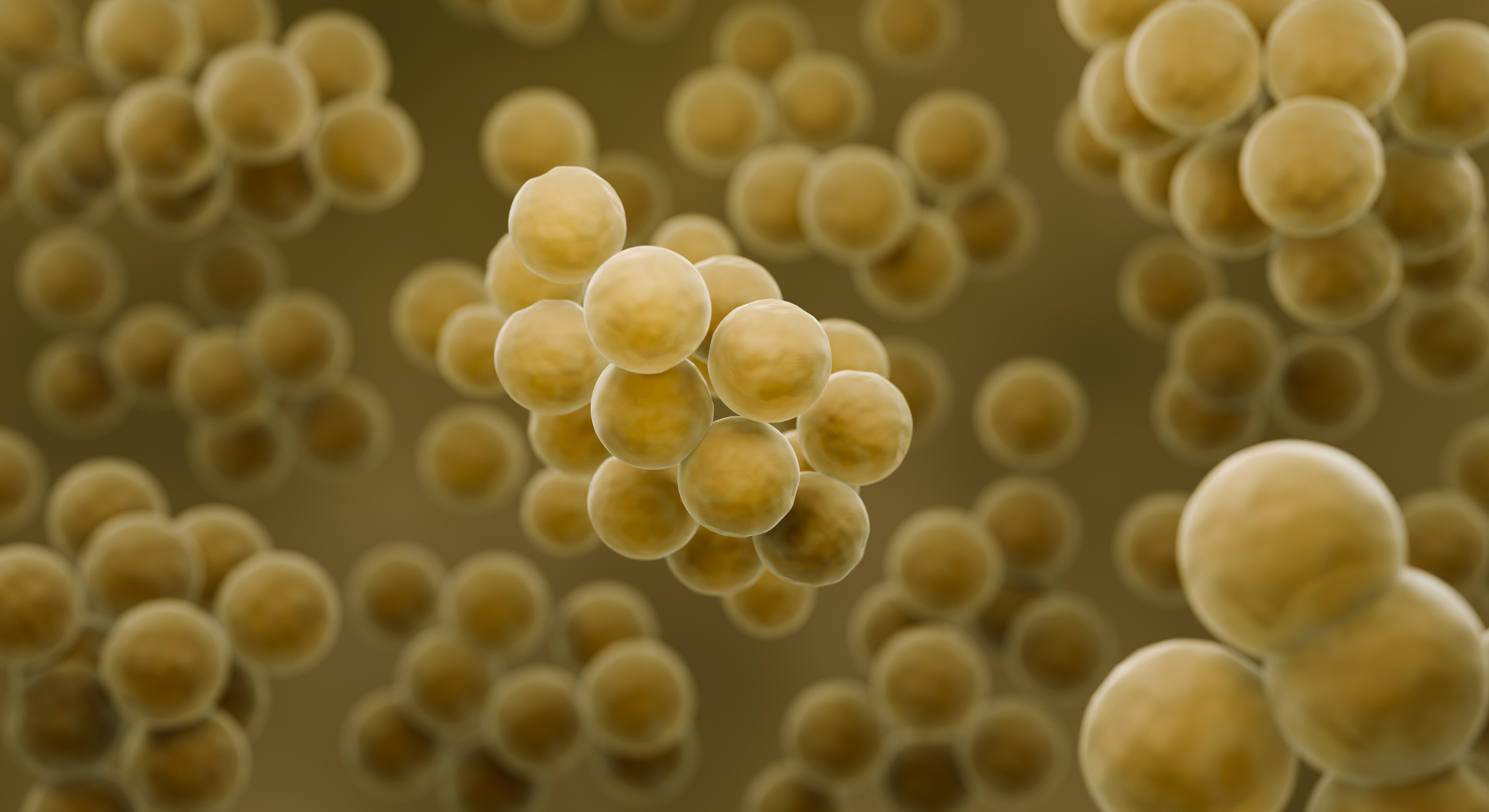 Understanding the Nasal Microbiome